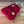 Load and play video in Gallery viewer, KC Leather Tag CC Red Beanie